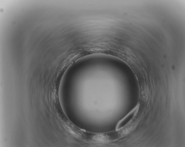 X0000073700231200608101821