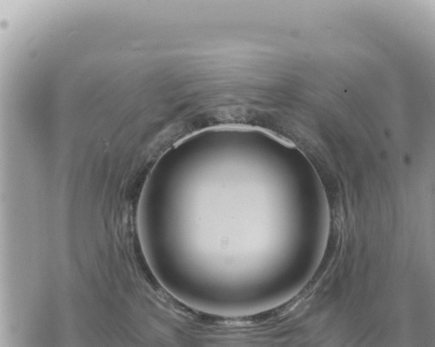 X0000073700233200608101821