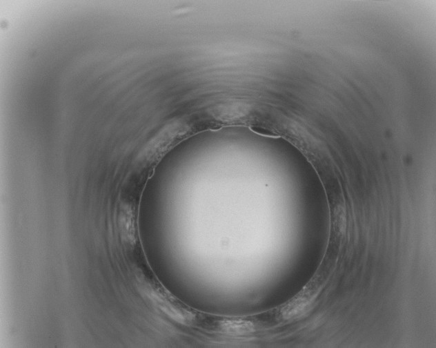 X0000073700234200608101821