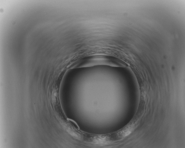 X0000073700235200608101821