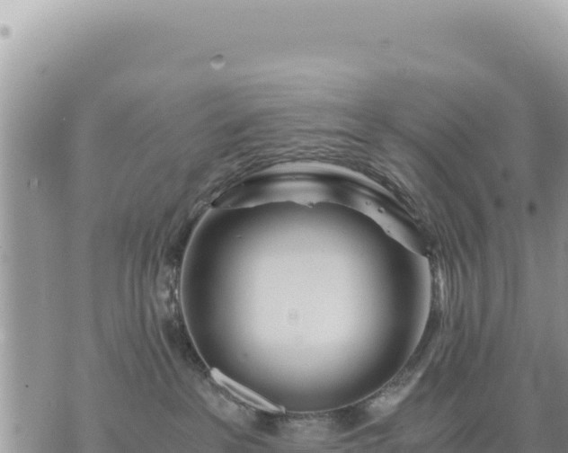 X0000073700237200608101821