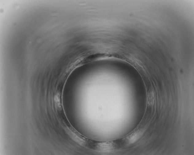 X0000073700238200608101821