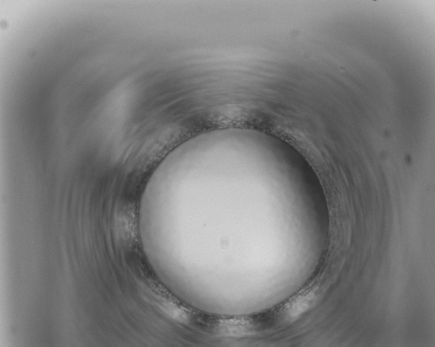 X0000073700240200608101821