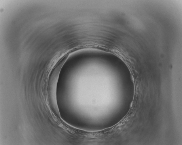 X0000073700241200608101821