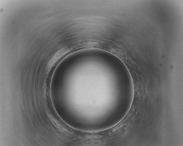 X0000073700242200608101821