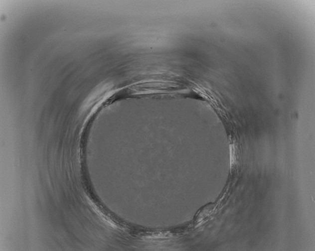 X0000073700243200608101821