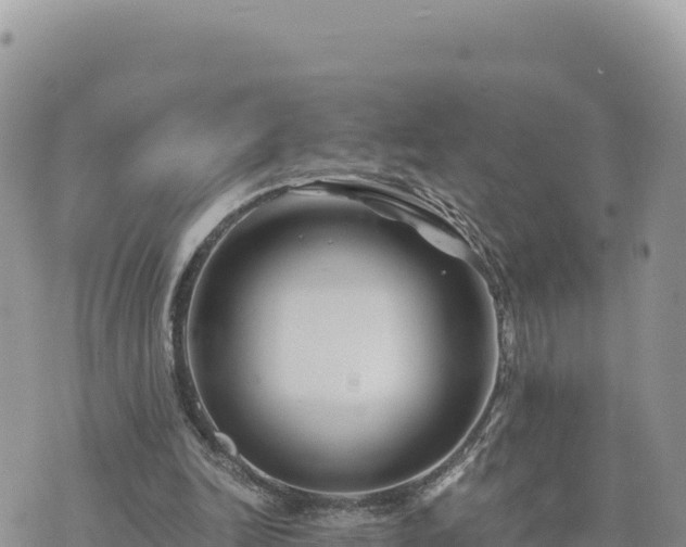 X0000073700246200608101821