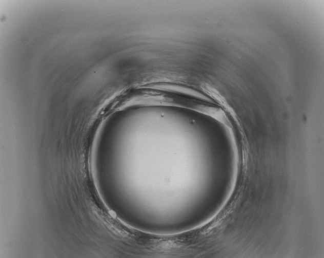 X0000073700249200608101821