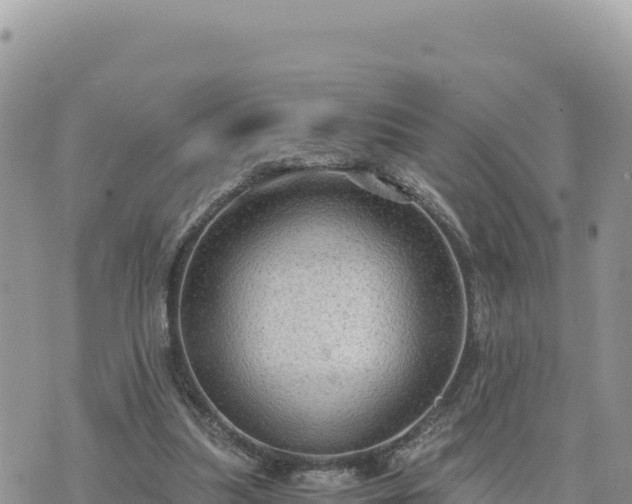 X0000073700251200608101821