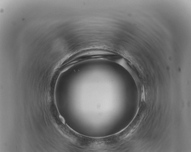 X0000073700252200608101821