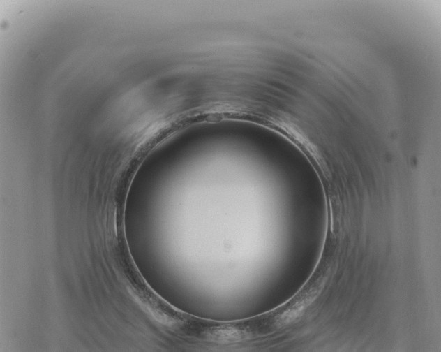 X0000073700253200608101821