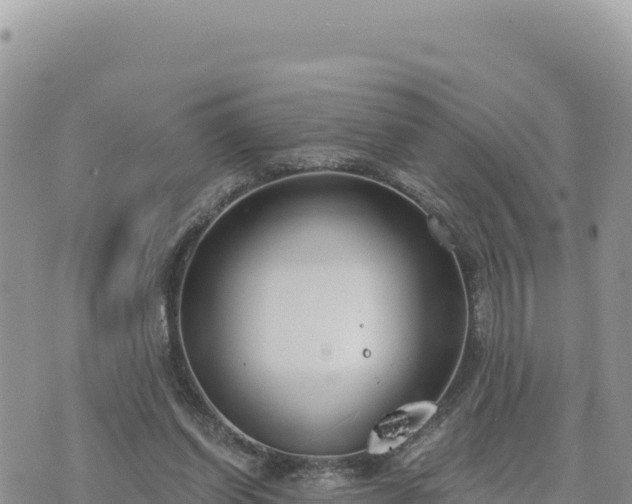 X0000073700254200608101821