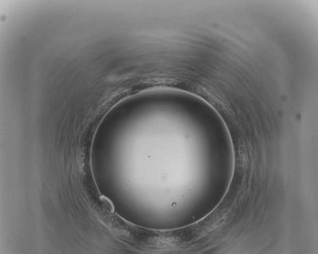 X0000073700255200608101821