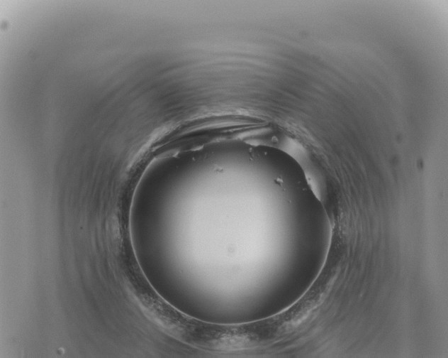 X0000073700256200608101821