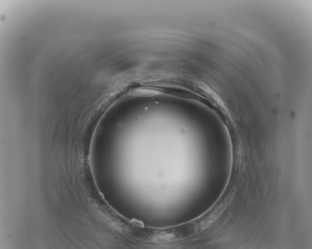 X0000073700257200608101821