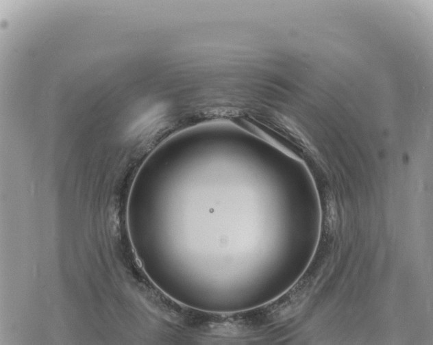 X0000073700259200608101821