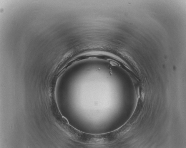 X0000073700260200608101821