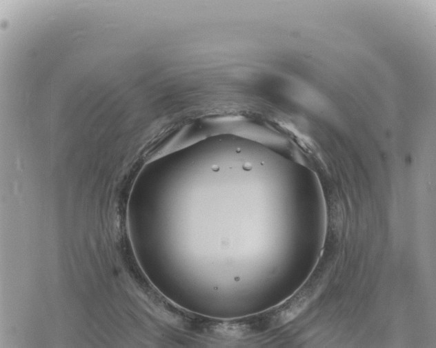 X0000073700261200608101821