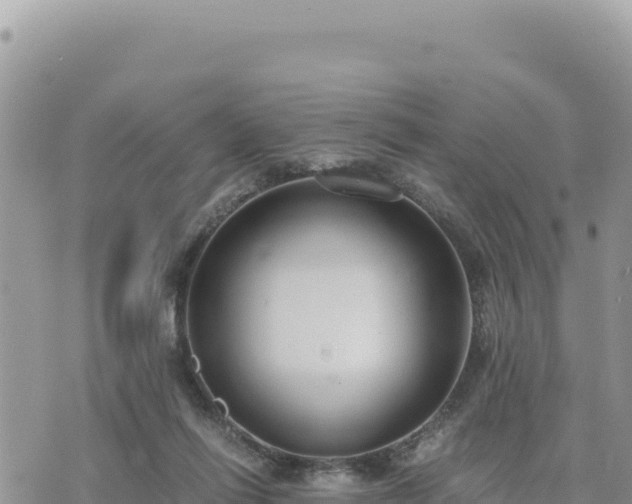 X0000073700262200608101821