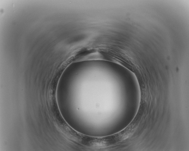 X0000073700263200608101821