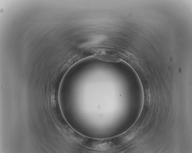 X0000073700267200608101821