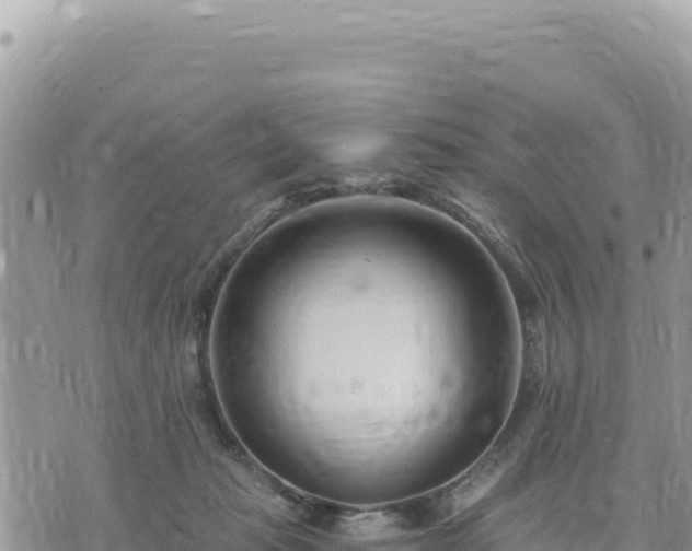 X0000073700269200608101821