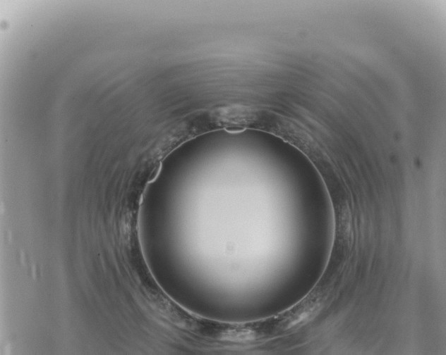 X0000073700271200608101821