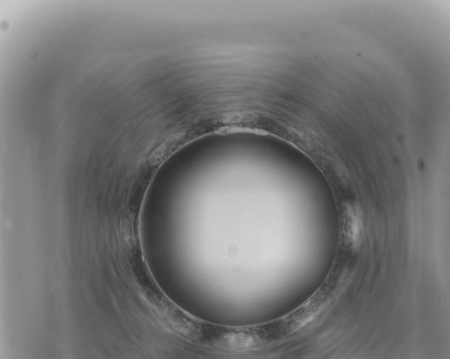 X0000073700272200608101821