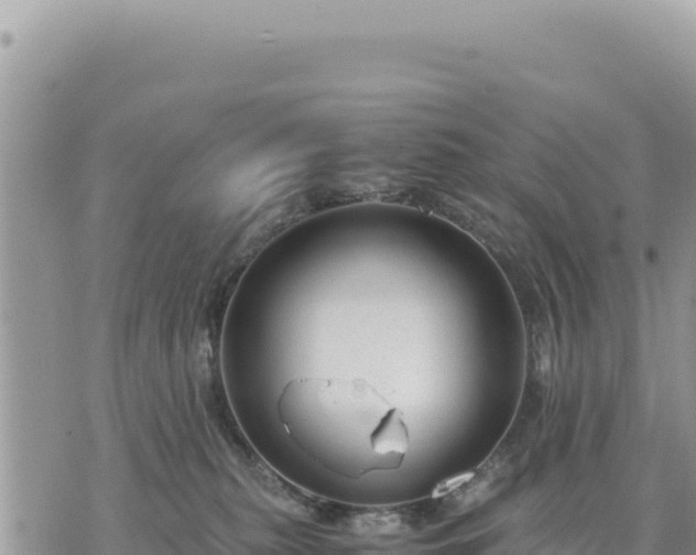 X0000073700279200608101821