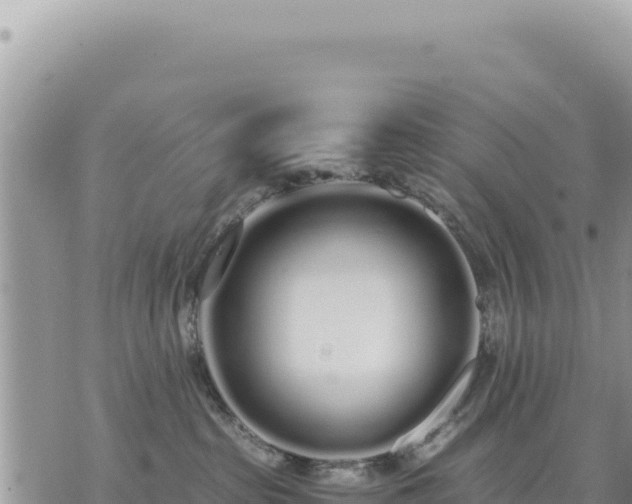 X0000073700285200608101821