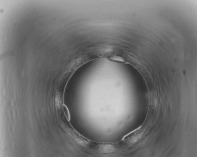 X0000073700287200608101821