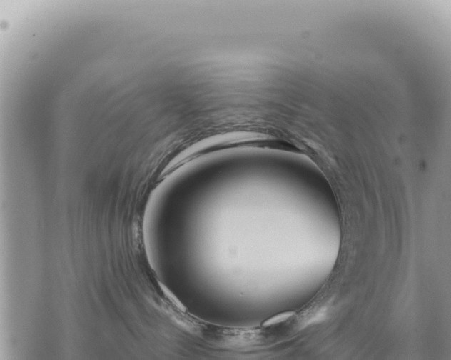 X0000073700288200608101821