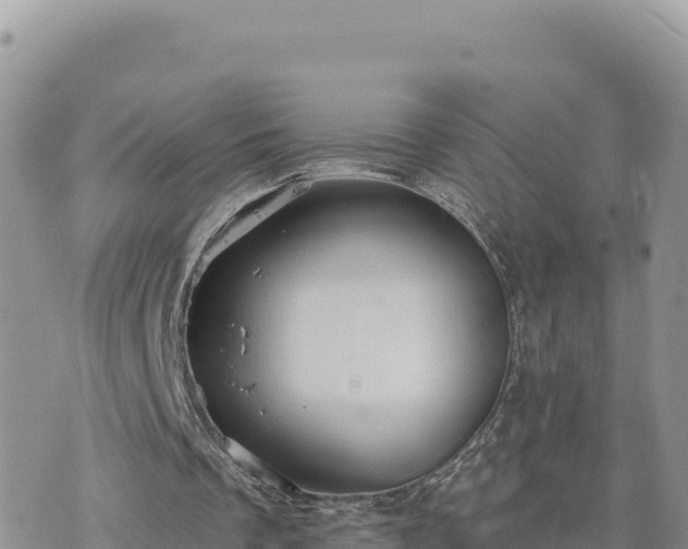 X0000073700289200608101821