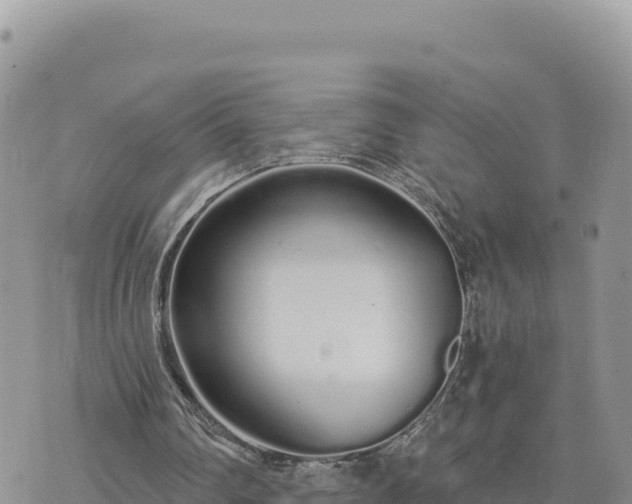 X0000073700290200608101820