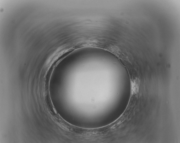 X0000073700291200608101820