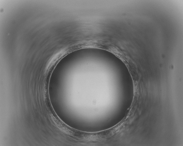 X0000073700293200608101820