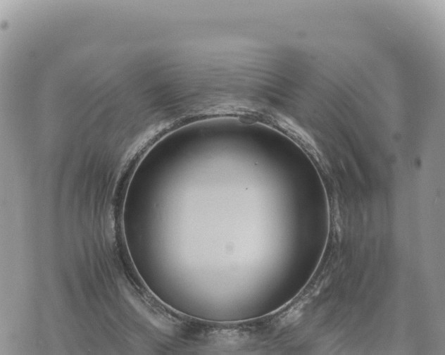 X0000073700298200608101820