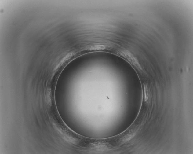 X0000073700300200608101820