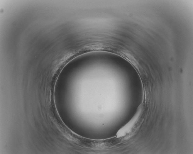 X0000073700301200608101820