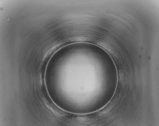 X0000073700302200608101820