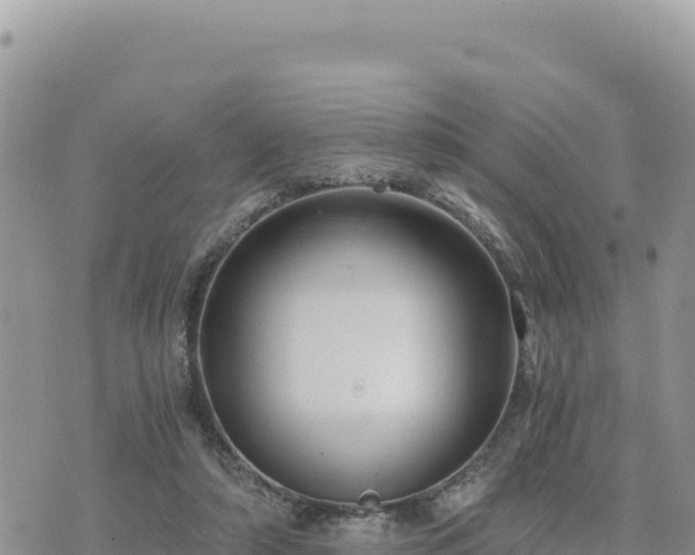 X0000073700306200608101820