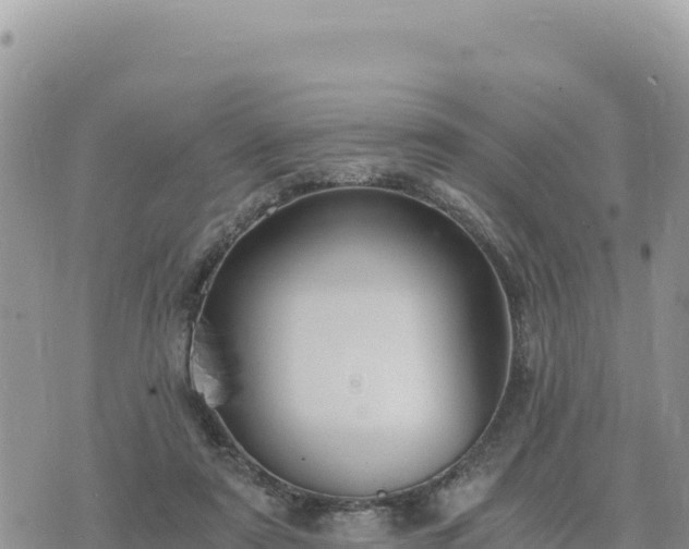 X0000073700307200608101820