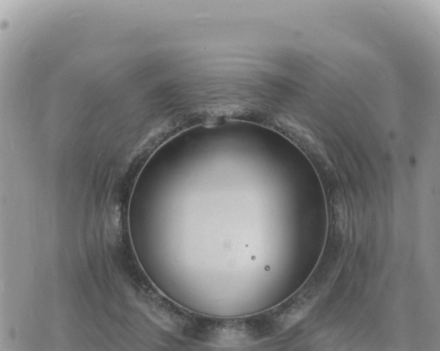 X0000073700308200608101820