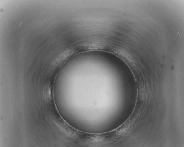 X0000073700310200608101820