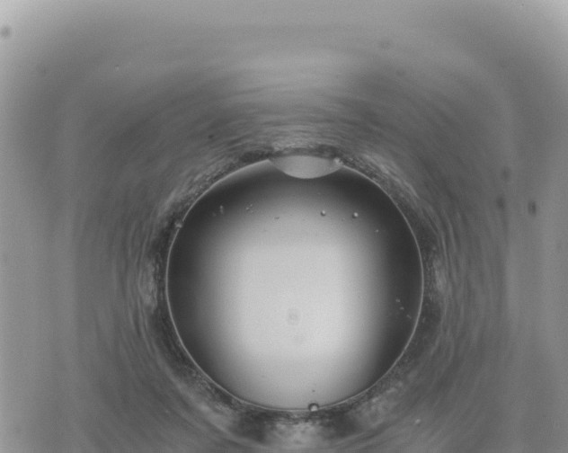 X0000073700311200608101820