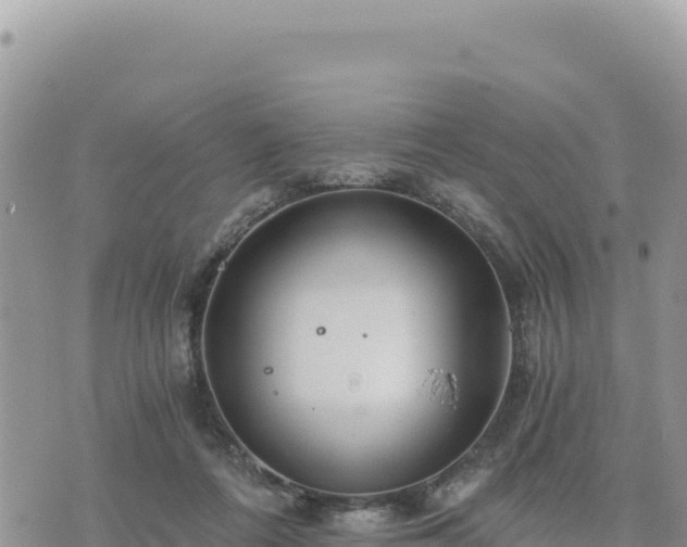 X0000073700312200608101820