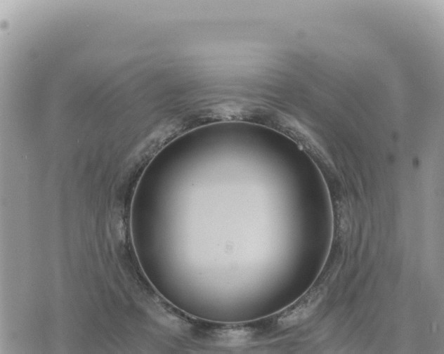 X0000073700313200608101820