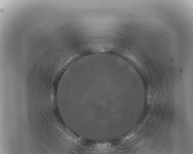 X0000073700314200608101820