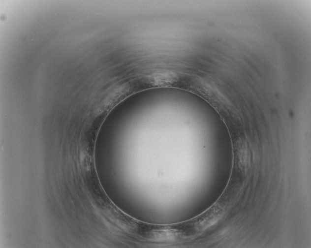 X0000073700316200608101820