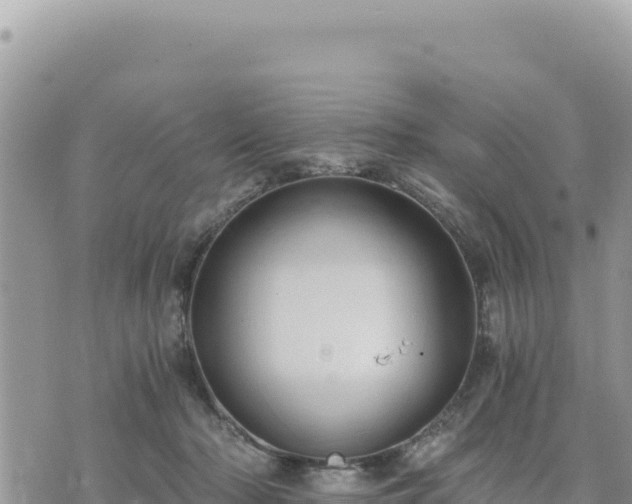 X0000073700318200608101820